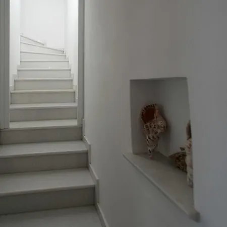 Villa Athina Ambrami Buitenkant foto